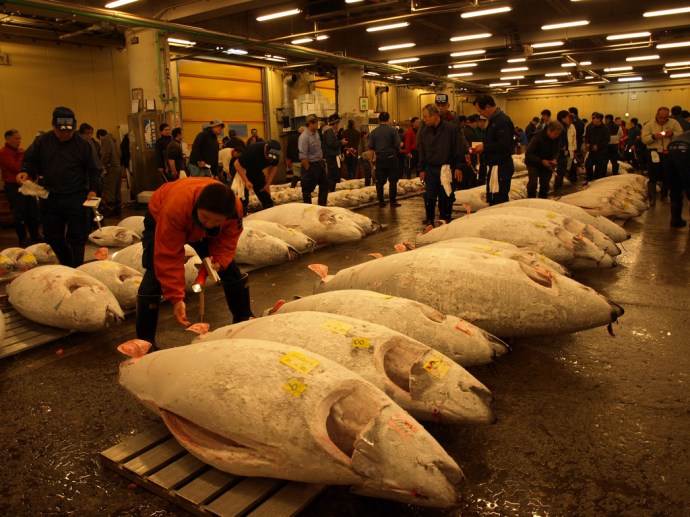 sleeping with the fishes