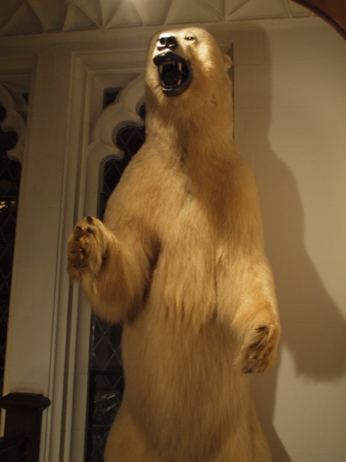 Sometimes you get the bear, and sometimes the bear gets you.