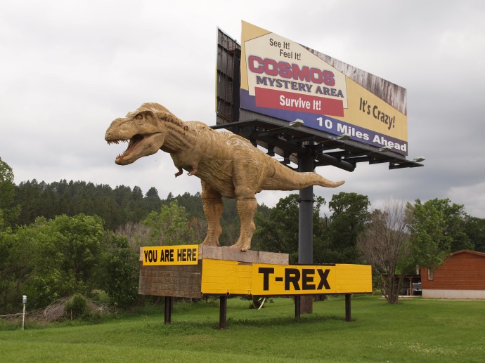 This replica of a t-rex stands outside the Dinosaur Museum, beckoning visitors to pull off Highway 16.