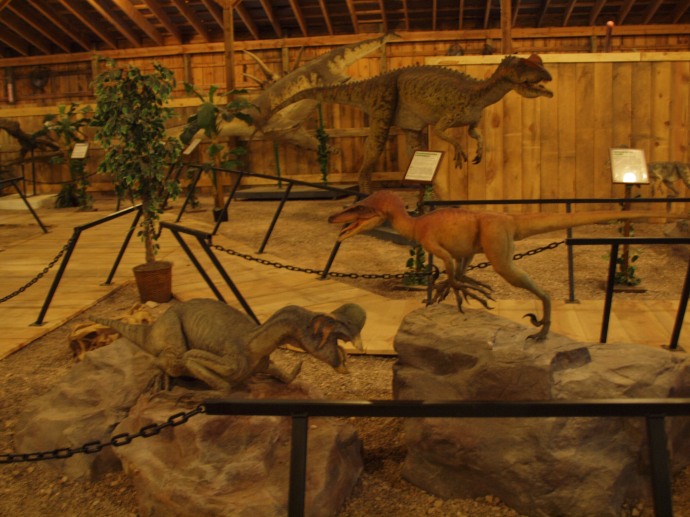 Some of the additional giant lizards on display.